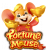 Fortune Mouse – Jogo do Ratinho